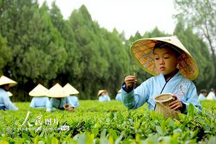 体育万博官网首页登录